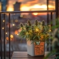 Preview: Grow Bucket Living Soil organic